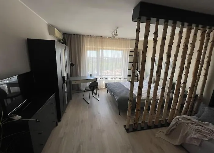 Stylish - Piata Alba Iulia شقة *