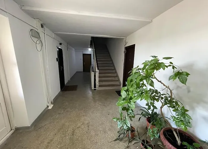 Stylish - Piata Alba Iulia *